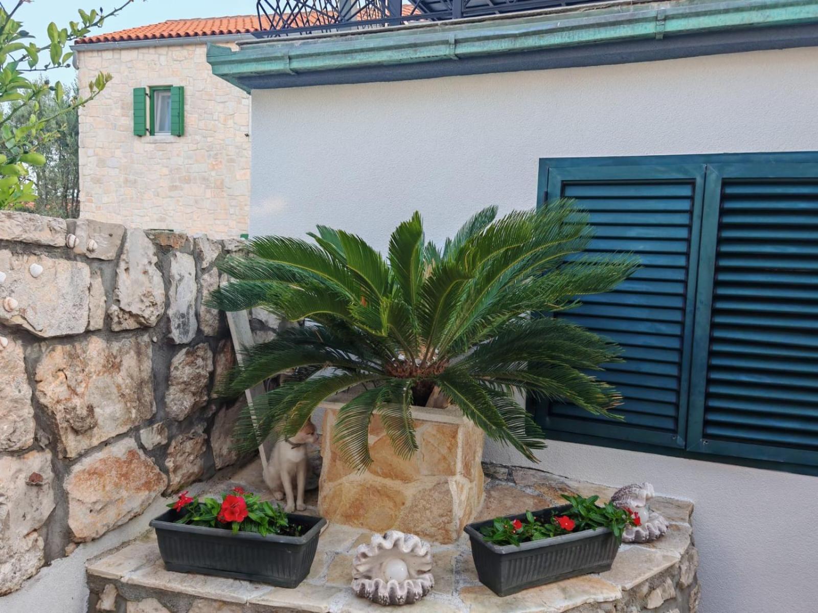 Apartments Liljana Privlaka エクステリア 写真